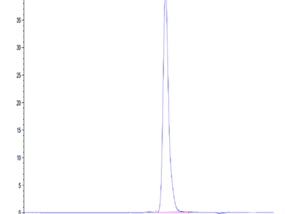 Human LAMP5 Protein (LAM-HM205)