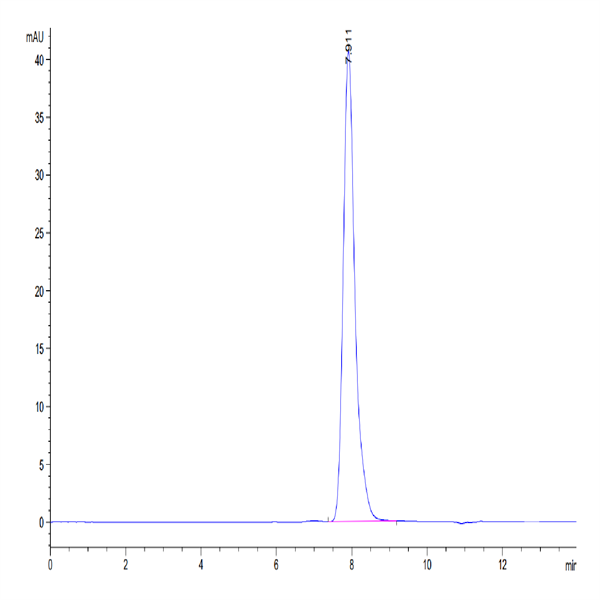 Human LAMP5 Protein (LAM-HM205) Human LAMP5 Protein (LAM-HM205)