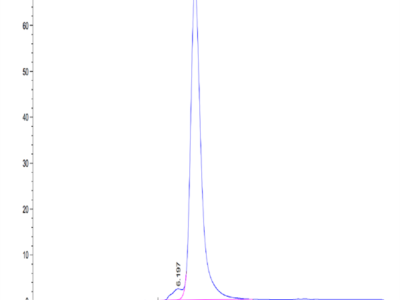 Mouse L1CAM Protein (LAM-MM101)