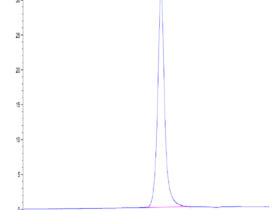 Mouses LAMP5 Protein (LAM-MM205)