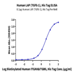Human LAP (TGF beta 1) Protein (LAP-HM4B1)