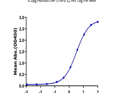 Human LAP (TGF beta 1) Protein (LAP-HM4B1)