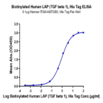Biotinylated Human LAP (TGF beta 1) Protein (LAP-HM4B1B)