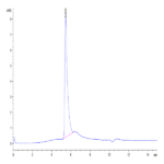 Biotinylated Human LAP (TGF beta 1) Protein (LAP-HM4B1B)