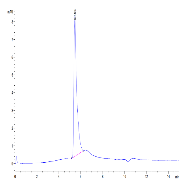 Biotinylated Human LAP (TGF beta 1) Protein (LAP-HM4B1B)