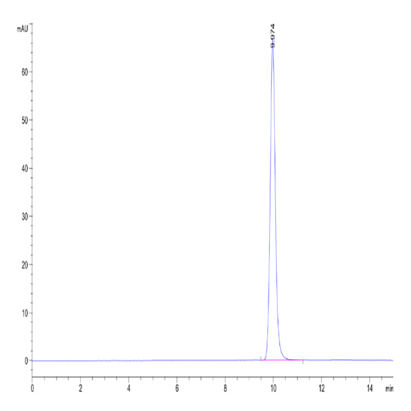 Human Latexin Protein (LAT-HE101)