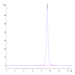 Human LAYN Protein (LAY-HM101)
