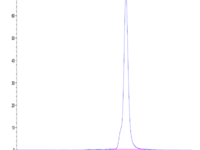 Human LAYN Protein (LAY-HM101)