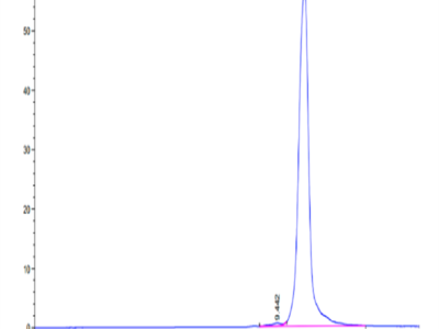 Human LILRB4/CD85k/ILT3 Domain 1 Protein (LB4-HM1D1)