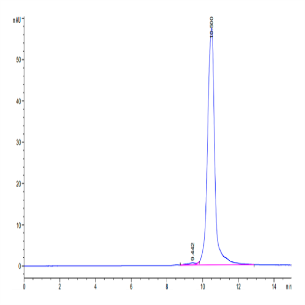 Human LILRB4/CD85k/ILT3 Domain 1 Protein (LB4-HM1D1) Human LILRB4/CD85k/ILT3 Domain 1 Protein (LB4-HM1D1)