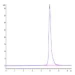 Biotinylated Human LILRB4/CD85k/ILT3 Domain 1 Protein (LB4-HM1D1B)