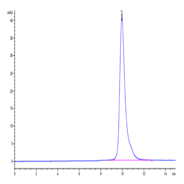Biotinylated Human LILRB4/CD85k/ILT3 Domain 1 Protein (LB4-HM1D1B)