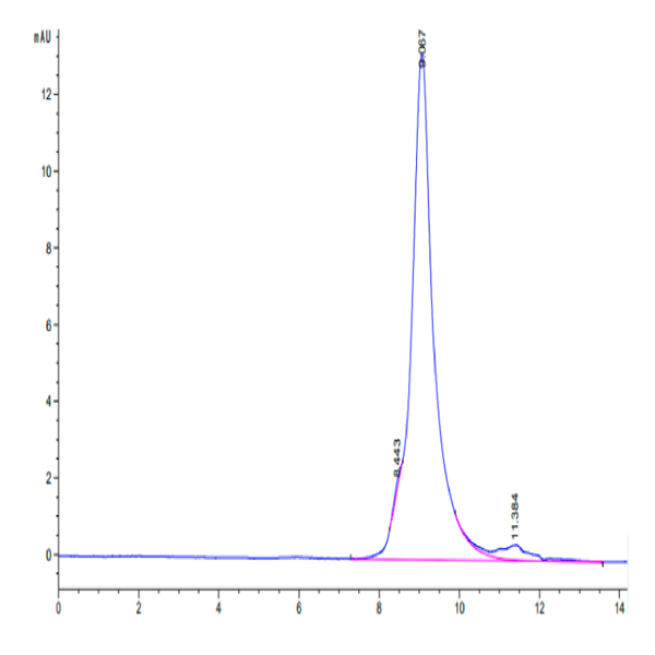 Biotinylated Human LILRB4/CD85k/ILT3 SR&Domain 2 Protein (LB4-HM1D3B) Biotinylated Human LILRB4/CD85k/ILT3 SR&Domain 2 Protein (LB4-HM1D3B)