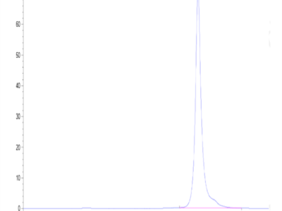 Human LILRB4/CD85k/ILT3 Domain 1+hinge Protein (LB4-HM4D4)