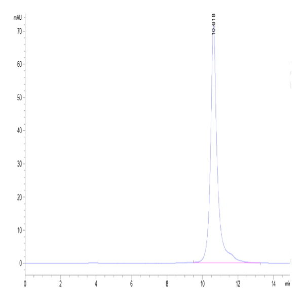 Human LILRB4/CD85k/ILT3 Domain 1+hinge Protein (LB4-HM4D4) Human LILRB4/CD85k/ILT3 Domain 1+hinge Protein (LB4-HM4D4)
