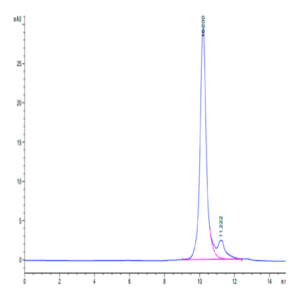 Biotinylated Human LILRB4/CD85k/ILT3 Domain 1+hinge Protein (LB4-HM4D4B)