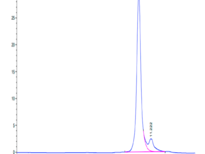 Biotinylated Human LILRB4/CD85k/ILT3 Domain 1+hinge Protein (LB4-HM4D4B)