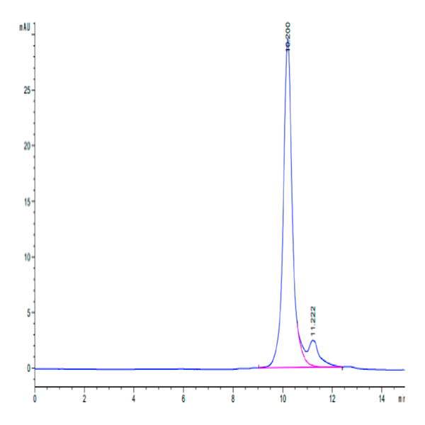 Biotinylated Human LILRB4/CD85k/ILT3 Domain 1+hinge Protein (LB4-HM4D4B) Biotinylated Human LILRB4/CD85k/ILT3 Domain 1+hinge Protein (LB4-HM4D4B)