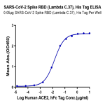 SARS-CoV-2 Spike RBD (Lambda C.37) Protein (LCD-VM1BD)