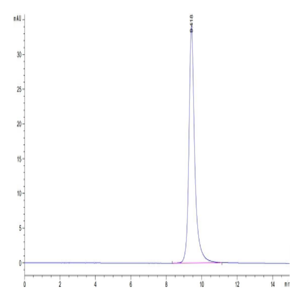 SARS-CoV-2 Spike RBD (Lambda C.37) Protein (LCD-VM1BD)
