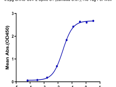 SARS-CoV-2 Spike S1 (Lambda C.37) Protein (LCS-VM1S1)