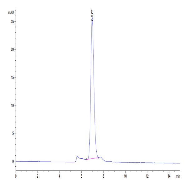 Cynomolgus LDLR Protein (LDL-CM101)