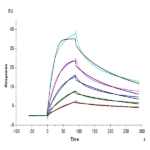 Human LDLR Protein (LDL-HM401)