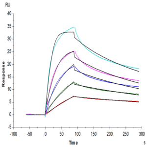Biotinylated Human LDLR Protein (LDL-HM401B)
