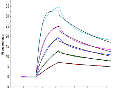 Biotinylated Human LDLR Protein (LDL-HM401B)