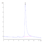 Mouse LGMN Protein (LGM-MM101)