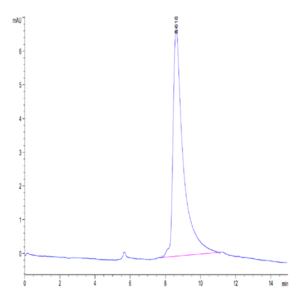 Mouse LGMN Protein (LGM-MM101)