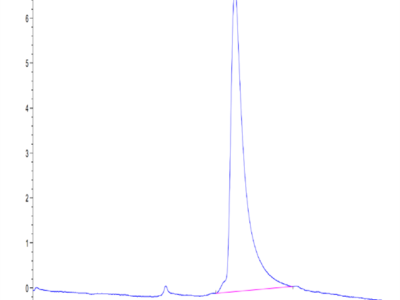 Mouse LGMN Protein (LGM-MM101)