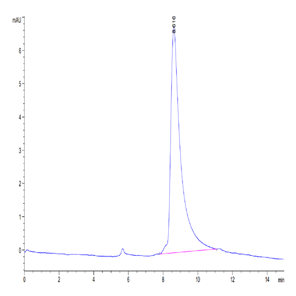 Mouse LGMN Protein (LGM-MM101) Mouse LGMN Protein (LGM-MM101)