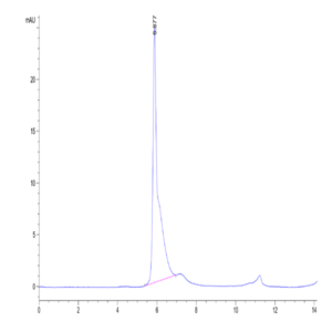 Human LGR-5 Protein (LGR-HM205)