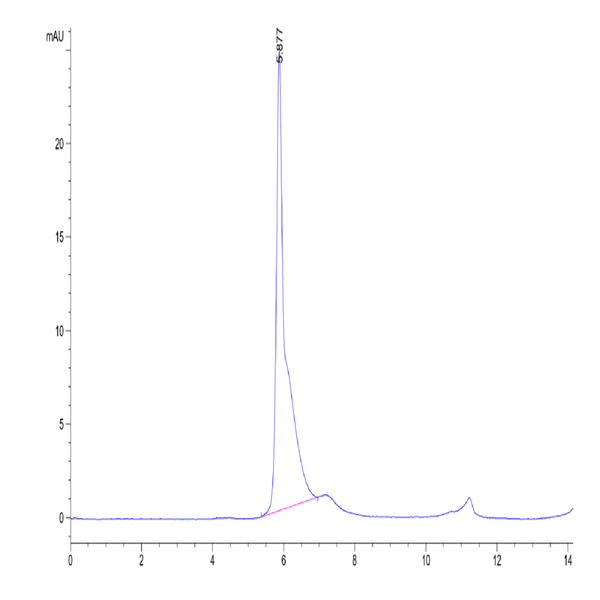 Human LGR-5 Protein (LGR-HM205)