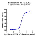 Human LIGHT/TNFSF14 Protein (LGT-HM131)
