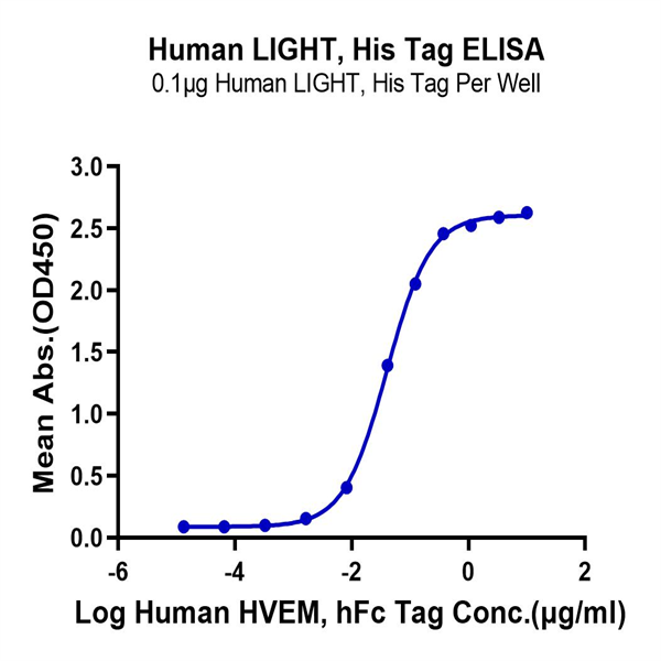 Human LIGHT/TNFSF14 Protein (LGT-HM131) Human LIGHT/TNFSF14 Protein (LGT-HM131)