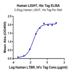 Human LIGHT/TNFSF14 Protein (LGT-HM131)