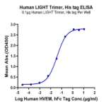 Human LIGHT/TNFSF14 Trimer Protein (LGT-HM132)