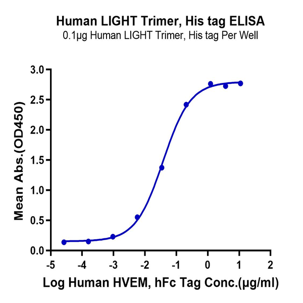 Human LIGHT/TNFSF14 Trimer Protein (LGT-HM132) Human LIGHT/TNFSF14 Trimer Protein (LGT-HM132)