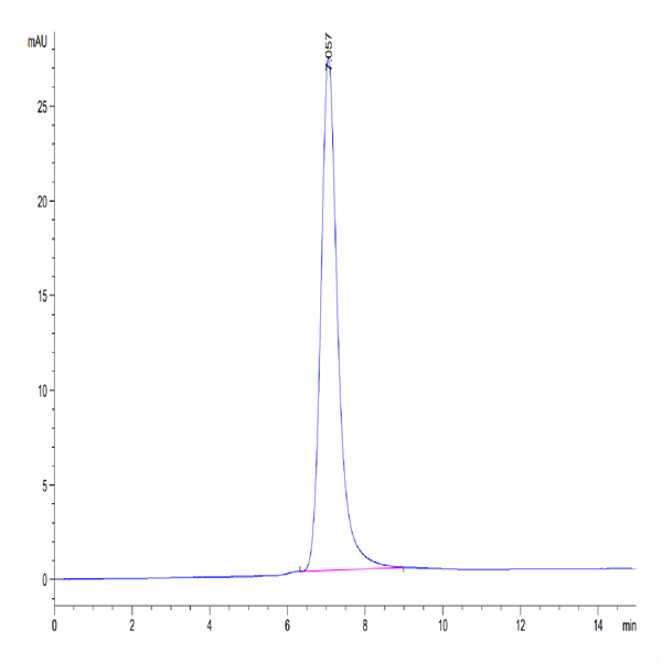 Human LIGHT/TNFSF14 Trimer Protein (LGT-HM132)