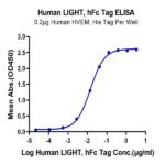 Human LIGHT/TNFSF14 Protein (LGT-HM231)
