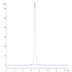 Human LIGHT/TNFSF14 Protein (LGT-HM231)