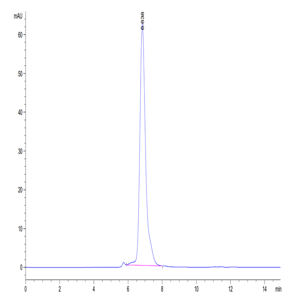 Human LIGHT/TNFSF14 Protein (LGT-HM231)