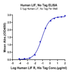 Human LIF Protein (LIF-HE001)