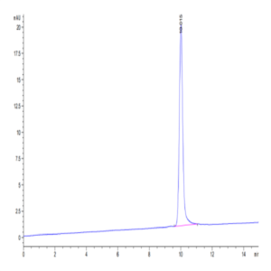 Human LIF Protein (LIF-HE001)