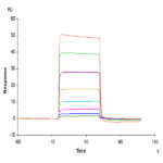 Human LIF R/CD118 Protein (LIF-HM10R)