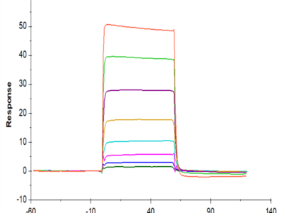 Human LIF R/CD118 Protein (LIF-HM10R)