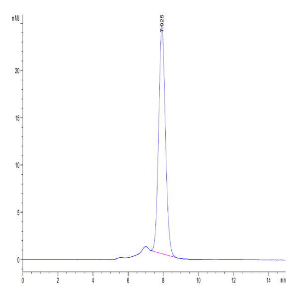 Human LIF Protein (LIF-HM201) Human LIF Protein (LIF-HM201)