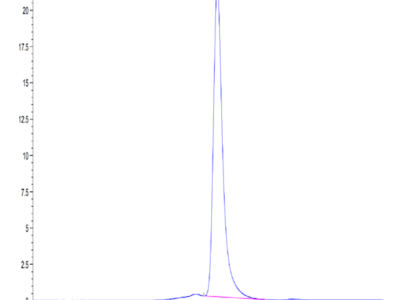 Mouse LIF Protein (LIF-MM201)